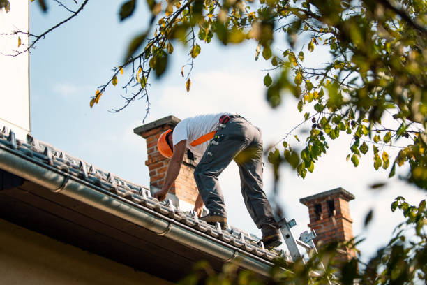 Best Shingle Roofing Installation  in Willow Creek, CA