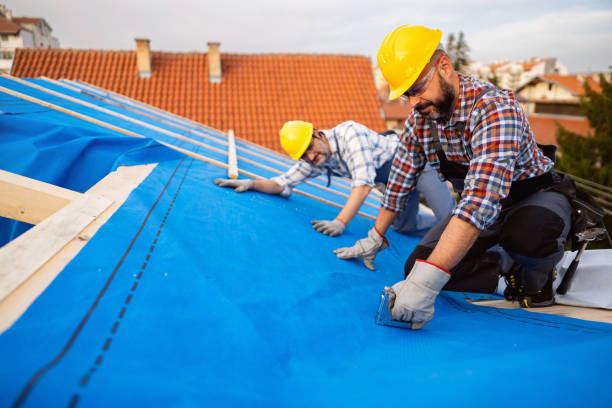 Best Roof Gutter Cleaning  in Willow Creek, CA