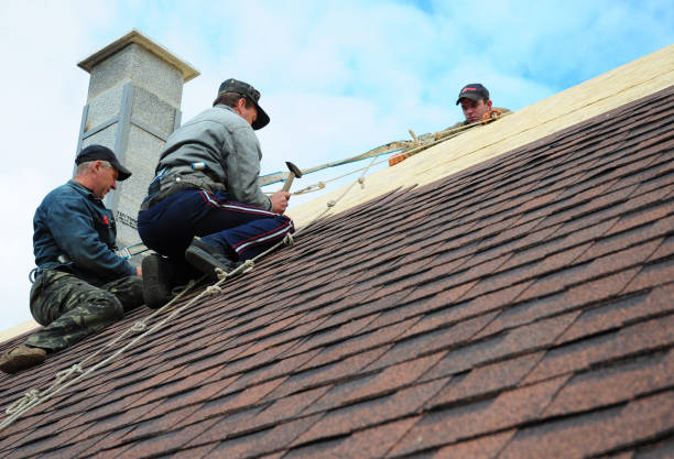 Professional Roofing Contractor in Willow Creek, CA