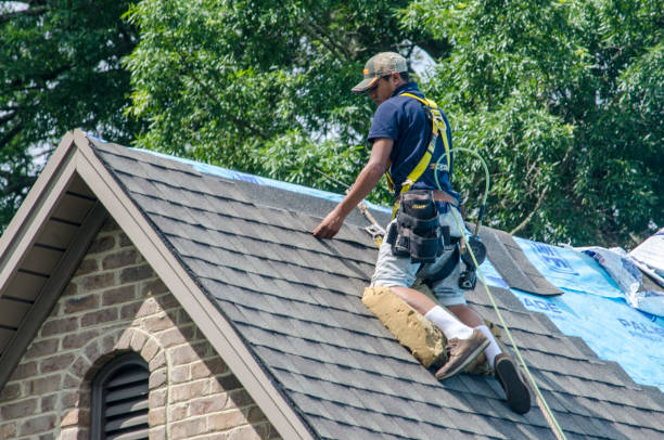 Best Roof Repair Services  in Willow Creek, CA